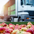 Insurance Claims for Damage or Loss in Refrigerated Transport Solutions